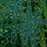 Avatars-000002259573-w5473v-badge