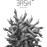 Avatars-000002354466-h3hpls-badge