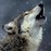 Avatars-000002403354-e7ce4a-badge