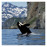 Avatars-000002419757-2awc60-badge