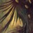 Avatars-000002442538-1ufi3l-badge