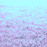 Avatars-000002471673-np97h6-badge