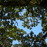 Avatars-000002537046-j6611q-badge