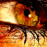 Avatars-000002558196-i5nnzk-badge