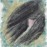 Avatars-000002627153-z2uk61-badge