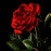 Avatars-000002629371-u1e1rf-badge