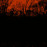 Avatars-000002753020-ii5gb2-badge