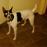 Avatars-000002755556-6pstkv-badge