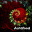 Avatars-000002860678-5nc1cj-badge