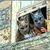 Avatars-000002885713-jrgre9-large