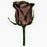 Avatars-000002910812-rzua9l-badge