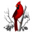 Avatars-000002943428-9p9rme-badge