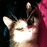 Avatars-000002958832-xxmoja-badge