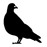 Avatars-000002993118-szss40-badge
