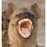 Avatars-000003036209-22yu3h-badge