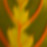 Avatars-000003074436-xpityq-badge