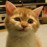 Avatars-000003102282-3wrlwp-badge
