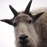 Avatars-000003245776-61921e-badge
