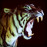 Avatars-000003251523-y25drf-badge