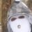 Avatars-000003273942-92n8if-badge