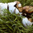 Avatars-000003290846-7vnl0v-badge