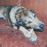 Avatars-000003387650-agqdxh-badge