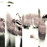 Avatars-000003542114-udc84m-badge