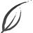 Avatars-000003574082-r0sa29-badge