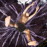 Avatars-000003663037-waay2g-badge