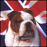 Avatars-000003689114-nzmo0p-badge