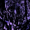 Avatars-000003756485-ntntjt-large