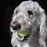 Avatars-000003827291-swwwmq-badge