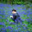 Avatars-000003878442-06g5j8-badge