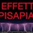 Avatars-000003890330-0desg8-badge