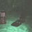 Avatars-000004123647-97ikxo-badge