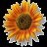 Avatars-000004359818-zpj7dj-badge