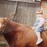 Avatars-000004588873-bsc91s-badge