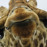 Avatars-000005063290-mpftnp-badge