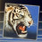 Avatars-000005146831-3u1hz3-badge
