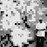 Avatars-000005211575-mw206n-badge
