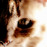 Avatars-000005241009-2e4p4m-badge