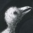 Avatars-000005332319-38bty6-badge