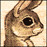 Avatars-000005497231-cta142-badge