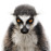 Avatars-000005559989-lw57pn-badge
