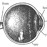 Avatars-000005593203-54zmx9-badge
