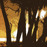 Avatars-000005732612-1qs6ms-badge