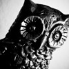 Avatars-000006114808-wn55qw-large