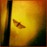 Avatars-000006203567-ohs9iy-badge
