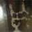 Avatars-000006274253-xyacar-badge