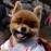 Avatars-000006362858-250uf2-badge